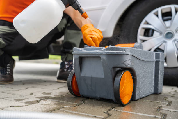 Best Tree Trimming and Pruning  in Elgin, IL